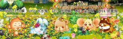 qq游戏天赋宝宝介绍与获得途径,天赋宝宝并且是无法转送的