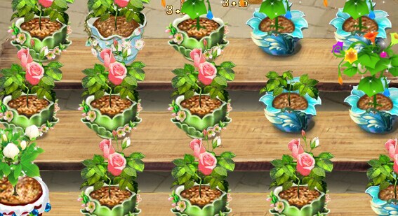 QQ游戏玫瑰花园